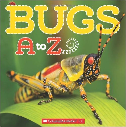 Here are 12 of our favorite bug and insect books.