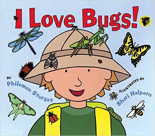 Here are 12 of our favorite bug and insect books.