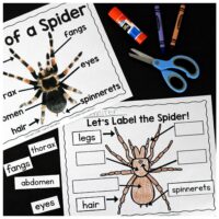 Engage your class in an exciting hands-on experience learning all about spiders! This Spiders: An Animal Study is perfect for science in Preschool, Pre-K, Kindergarten, First Grade, and Second Grade classrooms and packed full of inviting science activities.  Students will learn about the difference between spiders and insects, parts of a spider, a spider’s life cycle, and many more fun facts. When students are done they can complete a spider research project. This pack is great for homeschoolers, kids craft activities, and to add to your unit studies!