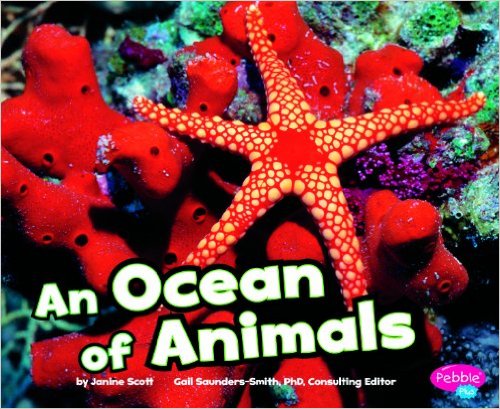 Here are 12 of our favorite ocean books.