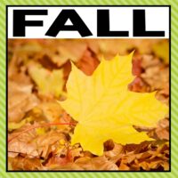There are so many different fall activities that you can do at home or in the classroom. This page allows you to quickly see our favorite fall ideas, activities and printables that have been featured on A Dab of Glue Will Do