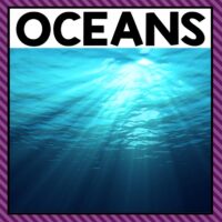 There are so many different ocean activities that you can do at home or in the classroom. This page allows you to quickly see our favorite ocean activities and printables that have been featured on A Dab of Glue Will Do.