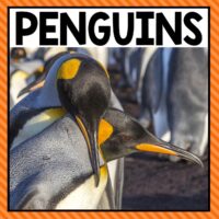 There are so many different penguin activities that you can do at home or in the classroom. This page allows you to quickly see our favorite penguin ideas, activities and printables that have been featured on A Dab of Glue Will Do.