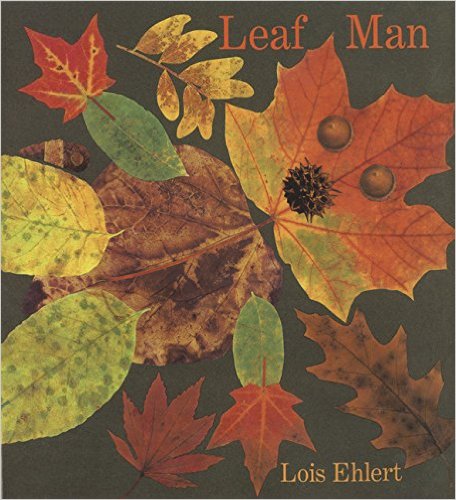 Fall is one of my favorite times of the year. Cooler weather, leaves changing color, pumpkins, outdoor activities - I love it all. When teaching this season to my students, I love using books to help my students "experience" the fall weather. Here are my favorite 12 fall books. 