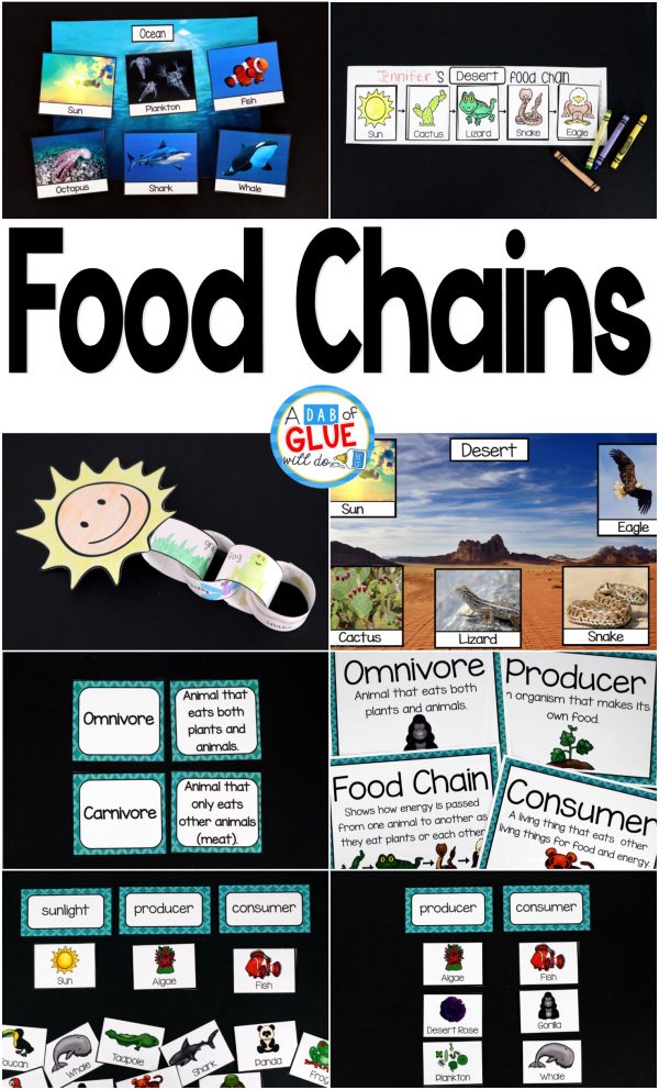 Engage your class in an exciting hands-on experience learning the food chains for six different habitats! Perfect for science centers in Kindergarten, First Grade, and Second Grade classrooms and packed full of inviting science activities. Students will learn about food webs and animal habitats in the Arctic, Pond, Rain Forest, Desert, Ocean, and Grasslands biomes. This pack is great for homeschoolers, kids craft activities, and to add to your unit studies!