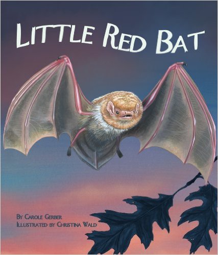 Our 12 favorite bat books are the perfect addition for your Halloween lesson plans. These are great for preschool, kindergarten, or first grade students.
