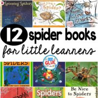 Our 12 favorite spider books are perfect for your Halloween or fall lesson plans. These are great for preschool, kindergarten, or first grade students.spider-books-for-little-learners-square