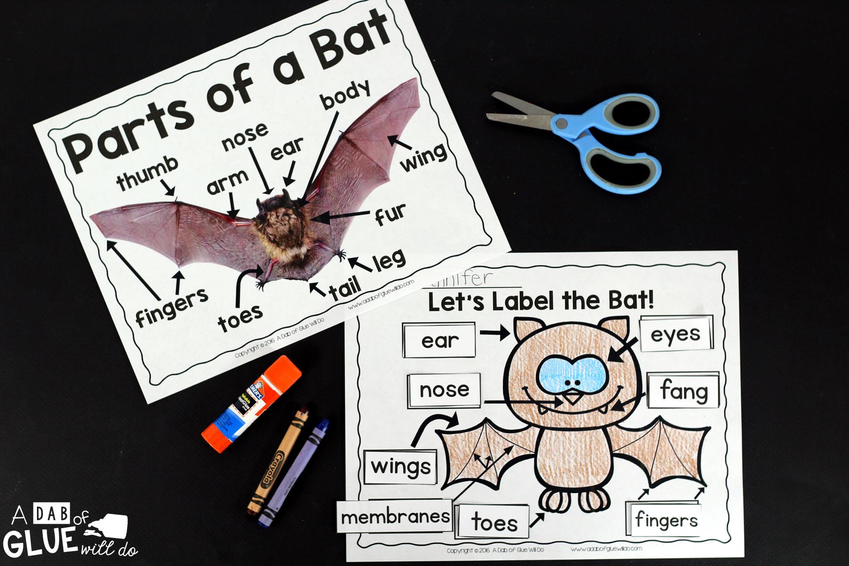 Engage your class in an exciting hands-on experience learning all about bats! Bats: An Animal Study is perfect for science in Preschool, Pre-K, Kindergarten, First Grade, and Second Grade classrooms and packed full of inviting science activities. Students will learn about the difference between bats and birds, nocurtnal and dirunal animals, parts of a bat, and a bat's life cycle. When students are done they can complete a bat research project. This pack is great for homeschoolers, kids craft activities, and to add to your unit studies!