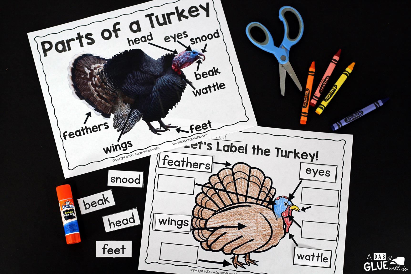 Engage your class in an exciting hands-on experience learning all about turkeys! This Turkeys: An Animal Study is perfect for science in Preschool, Pre-K, Kindergarten, First Grade, and Second Grade classrooms and packed full of inviting science activities. Students will learn about the difference between turkeys and chickens, animals that can and cannot fly, parts of a turkey, and a turkey's life cycle. When students are done they can complete a turkey research project. This pack is great for homeschoolers, kids craft activities, and to add to your unit studies!