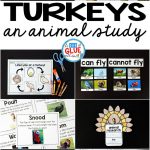 Engage your class in an exciting hands-on experience learning all about turkeys! This Turkeys: An Animal Study is perfect for science in Preschool, Pre-K, Kindergarten, First Grade, and Second Grade classrooms and packed full of inviting science activities. Students will learn about the difference between turkeys and chickens, animals that can and cannot fly, parts of a turkey, and a turkey's life cycle. When students are done they can complete a turkey research project. This pack is great for homeschoolers, kids craft activities, and to add to your unit studies!