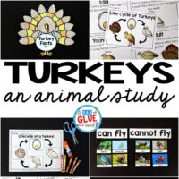 Engage your class in an exciting hands-on experience learning all about turkeys! This Turkeys: An Animal Study is perfect for science in Preschool, Pre-K, Kindergarten, First Grade, and Second Grade classrooms and packed full of inviting science activities.  Students will learn about the difference between turkeys and chickens, animals that can and cannot fly, parts of a turkey, and a turkey's life cycle. When students are done they can complete a turkey research project. This pack is great for homeschoolers, kids craft activities, and to add to your unit studies!