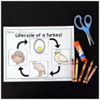 Engage your class in an exciting hands-on experience learning all about turkeys! This Turkeys: An Animal Study is perfect for science in Preschool, Pre-K, Kindergarten, First Grade, and Second Grade classrooms and packed full of inviting science activities.  Students will learn about the difference between turkeys and chickens, animals that can and cannot fly, parts of a turkey, and a turkey's life cycle. When students are done they can complete a turkey research project. This pack is great for homeschoolers, kids craft activities, and to add to your unit studies!