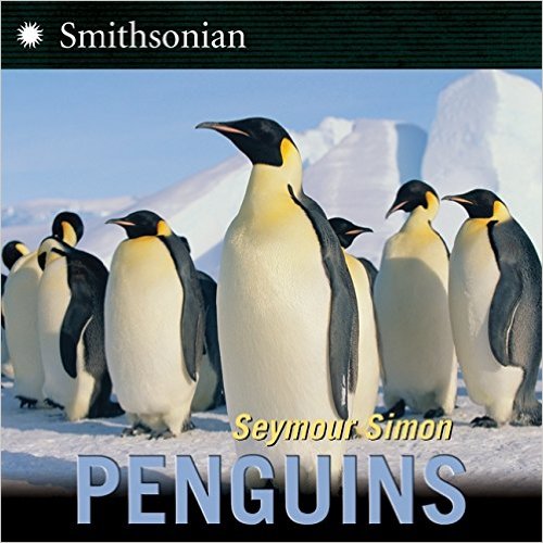 Our 12 favorite penguin books are perfect for your winter and penguin lesson plans. These are great for preschool, kindergarten, or first grade students.