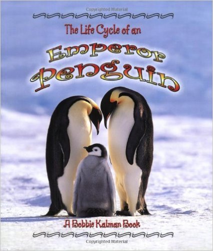 Our 12 favorite penguin books are perfect for your winter and penguin lesson plans. These are great for preschool, kindergarten, or first grade students.
