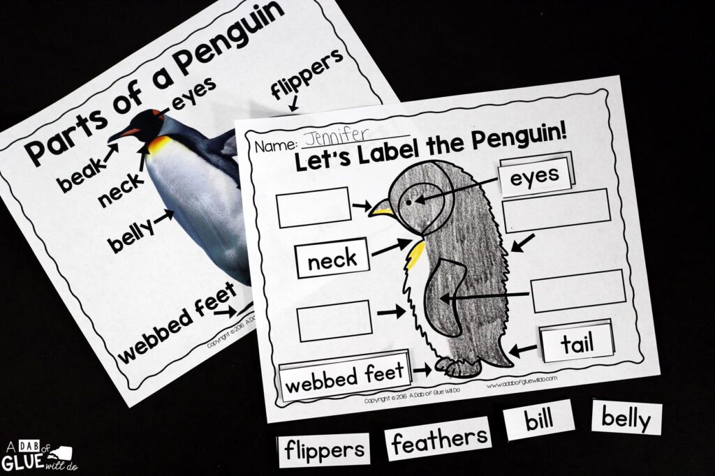 Engage your class in an exciting hands-on experience learning all about penguins! This Penguin Animal Study is perfect for science in Preschool, Pre-K, Kindergarten, First Grade, and Second Grade classrooms and packed full of inviting science activities. Students will learn about the difference between penguins and puffins, animals with and without webbed feet, parts of a penguin, and a penguin's life cycle. When students are done they can complete a penguin research project. This pack is great for homeschoolers, kids craft activities, and to add to your unit studies!