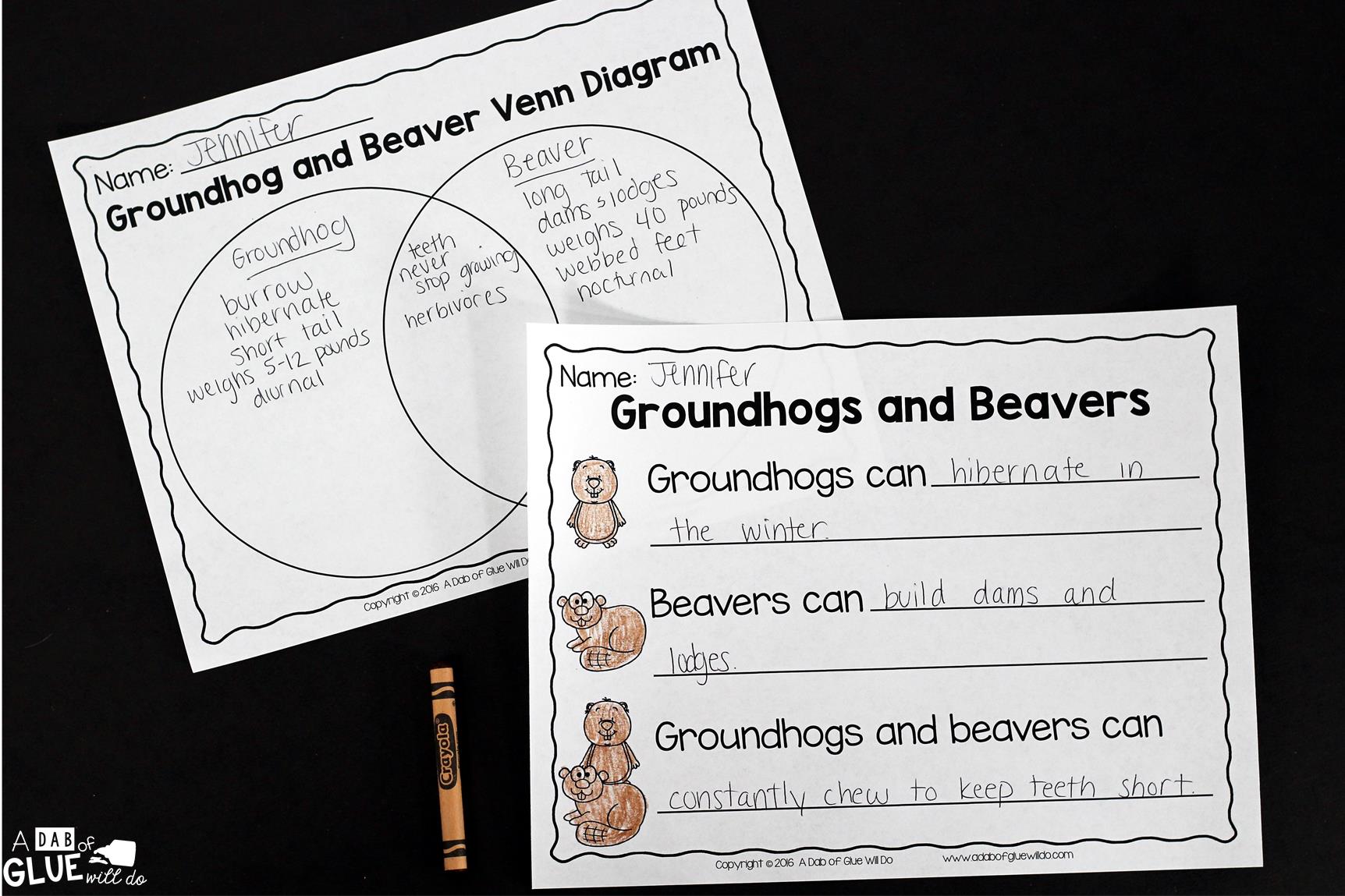 Engage your class in an exciting hands-on experience learning all about groundhogs! This Groundhog: An Animal Study is perfect for science in Preschool, Pre-K, Kindergarten, First Grade, and Second Grade classrooms and packed full of inviting science activities. Students will learn about the difference between groundhogs and beavers, mammals, parts of a groundhog, and a groundhog can, have, are craftivity. When students are done they can complete a groundhog research project. This pack is great for homeschoolers, kids craft activities, and to add to your unit studies!