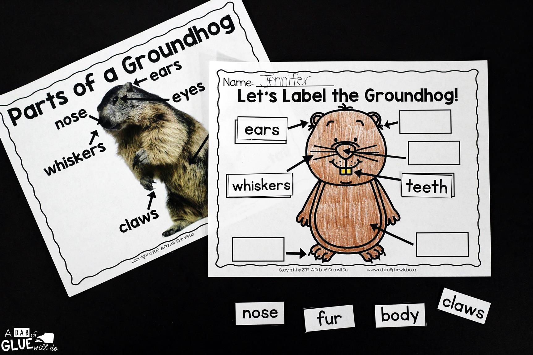 Animal Study: Don't miss our Groundhog Facts Animal Study full of great information, activities, and learning projects ideal to help your students learn!