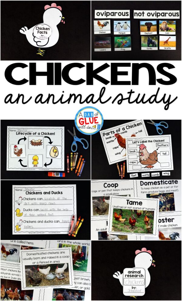 Engage your class in an exciting hands-on experience learning all about chickens! It will be the perfect addition to your spring and Easter lesson plans. This Chicken Animal Study is perfect for science in Preschool, Pre-K, Kindergarten, First Grade, and Second Grade classrooms and packed full of inviting science activities. Students will learn about the difference between chickens and ducks, oviparous and non-oviparous animals, parts of a chicken, and a chicken's life cycle. When students are done they can complete a chicken research project. This pack is great for homeschoolers, kids craft activities, and to add to your unit studies!