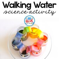 This Walking Water Experiment is a great hands-on science experiment perfect for anytime of the year. There is a free recording sheet printable included. This is perfect for preschool, kindergarten, and first grade students.