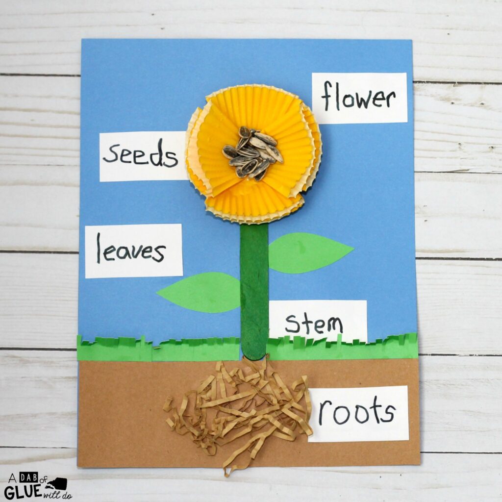 This Parts of a Flower Craft is a fun way for children to learn the different parts that make up a flower and will be a great addition to your flower unit this year.