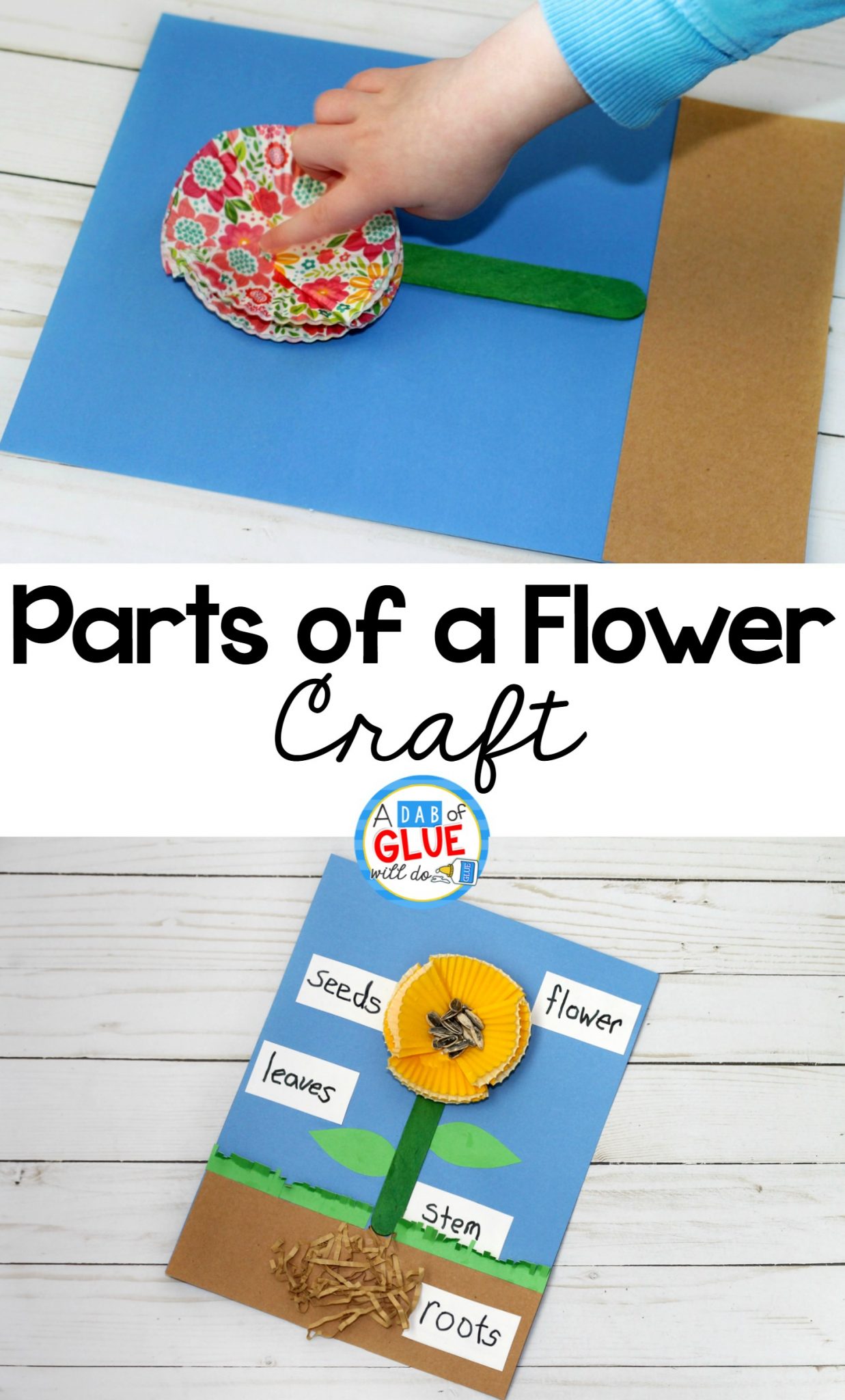 Parts of a Flower Craft, Science Craft, Flower Craft, Parts of a Flower