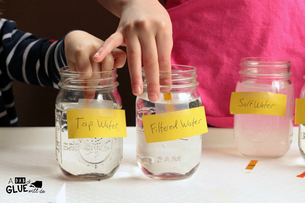 Young kids love hands-on activities, which means this is the perfect age to introduce science experiments and the basics of the scientific method. This is a super fun water pH science experiment activity that shows kids how to use litmus test strips