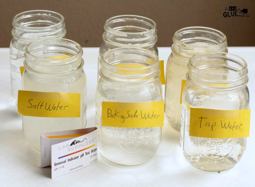 Young kids love hands-on activities, which means this is the perfect age to introduce science experiments and the basics of the scientific method. This is a super fun water pH science experiment activity that shows kids how to use litmus test strips