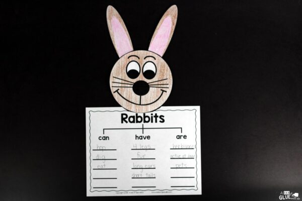 Rabbit Facts : An Animal Study