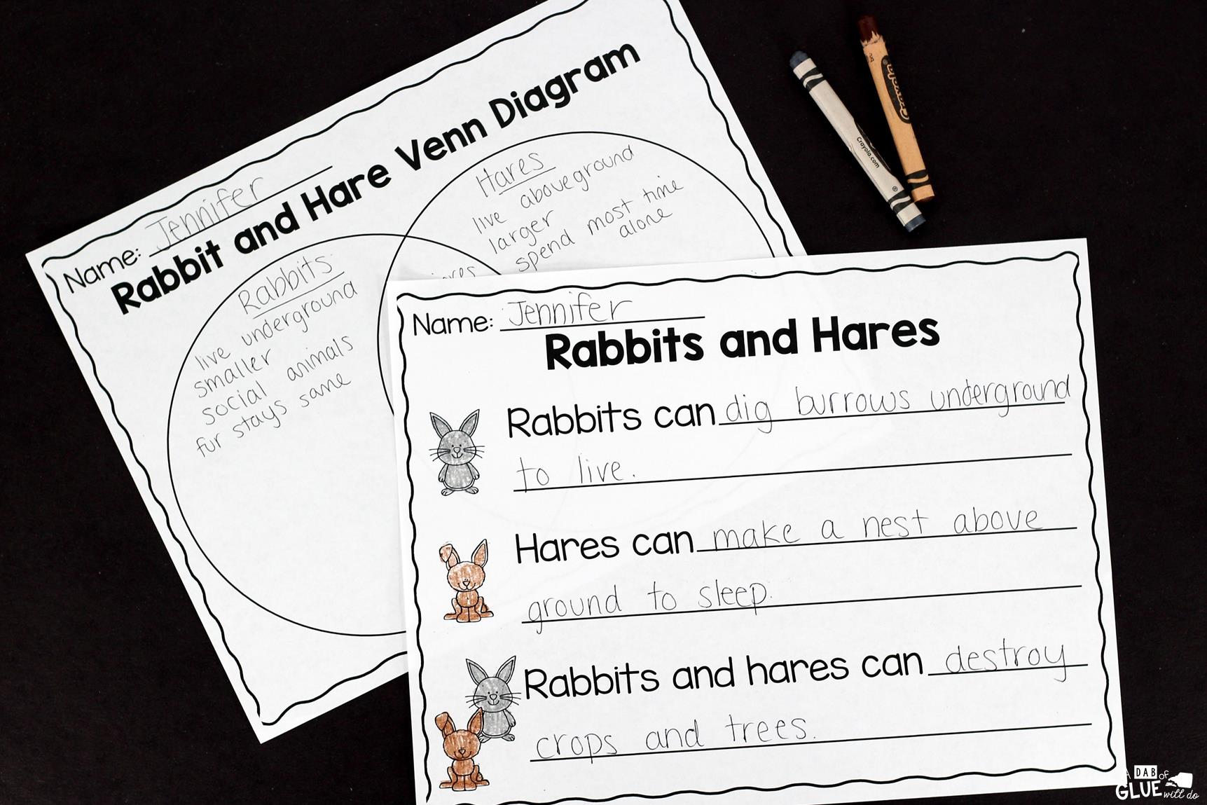 Engage your class in an exciting hands-on experience learning all about rabbits! This Rabbit Facts: An Animal Study is perfect for science in Preschool, Pre-K, Kindergarten, First Grade, and Second Grade classrooms and packed full of inviting science activities. Students will learn about the difference between rabbit and a hare, omnivores, herbivores, and carnivores, parts of a rabbit, and a rabbit can, have, are craftivity. When students are done they can complete a rabbit research project. This pack is great for homeschoolers, kids craft activities, and to add to your nonfiction science unit studies!