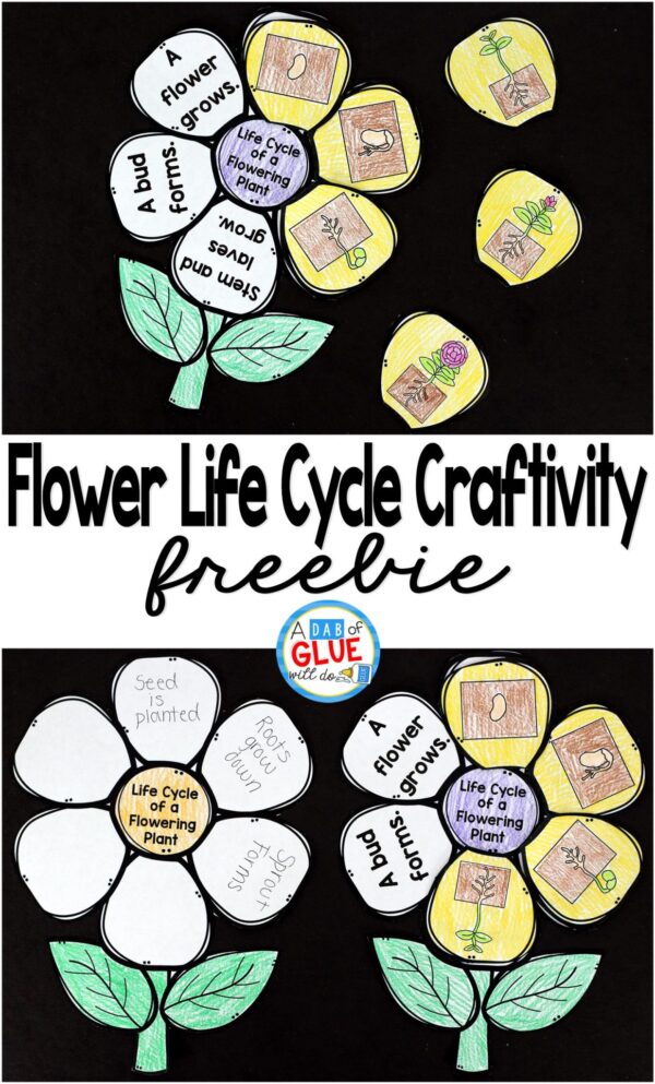 Flowering Plant Life Cycle Craftivity is the perfect addition to your science lesson plans this spring. This free printable is perfect for preschool, kindergarten, first grade, and second grade students. 