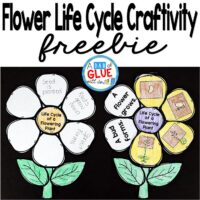 File name: Flowering Plant Life Cycle Craftivity is the perfect addition to your science lesson plans this spring. This free printable is perfect for preschool, kindergarten, first grade, and second grade students.
