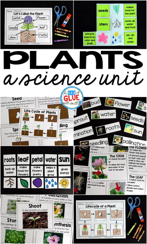Plants Unit (PowerPoint, Lessons, Printables)
