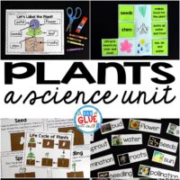 File name: Engage your class in an exciting hands-on experience learning all about plants! Plants Unit (PowerPoint, Lessons, Printables) is perfect for science in Preschool, Pre-K, Kindergarten, First Grade, and Second Grade classrooms and packed full of inviting science activities. Students will learn about the needs of plants, parts of a plant, and the plant life cycle. This pack is great for homeschoolers, kids craft activities, and to add to your unit studies!