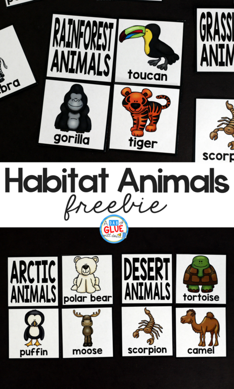 Habitat Puzzles Printable is the perfect addition to your science lesson plans. This free science printable is perfect for preschool, kindergarten, and first grade students. 