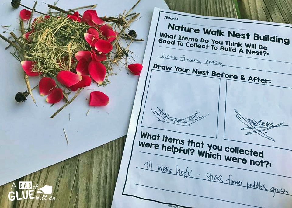 Build A Bird's Nest: A fun STEM Activity For Kids