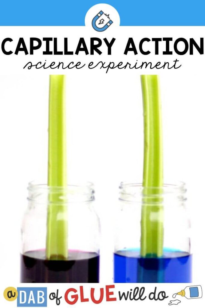 Two jars full of colored liquid with a celery stalk sticking out of each one