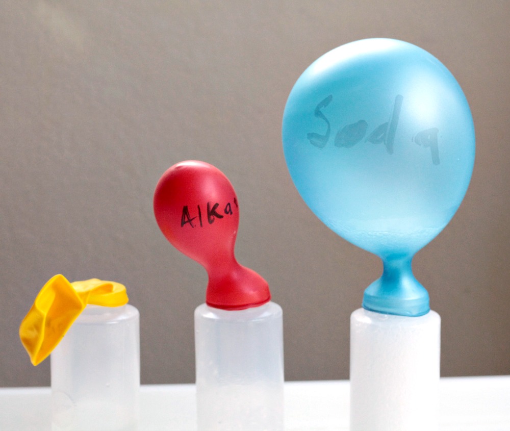 In the self-inflating balloon science experiment, kids will learn which chemical reaction is the best at inflating balloons. Classroom-friendly!