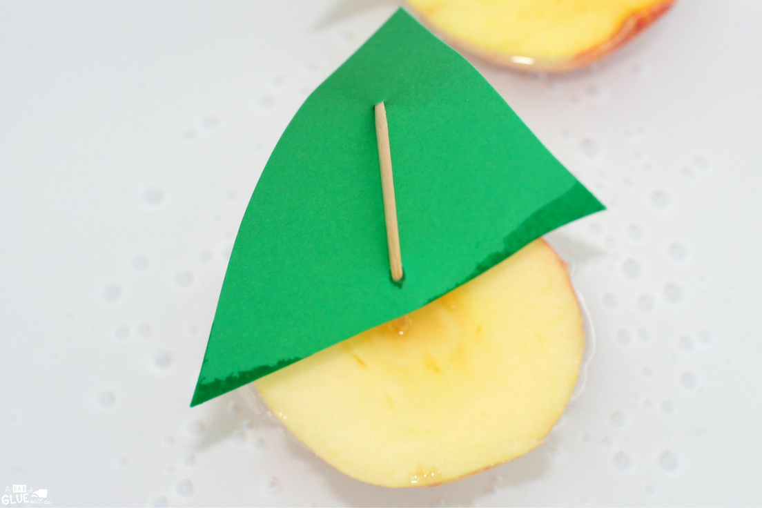 Are you looking for a simple, Fall-themed STEM activity to do with your class? This Apple Boats STEM Activity is an easy and fun way for children to test different sizes of apples and materials to see if apples float in water.
