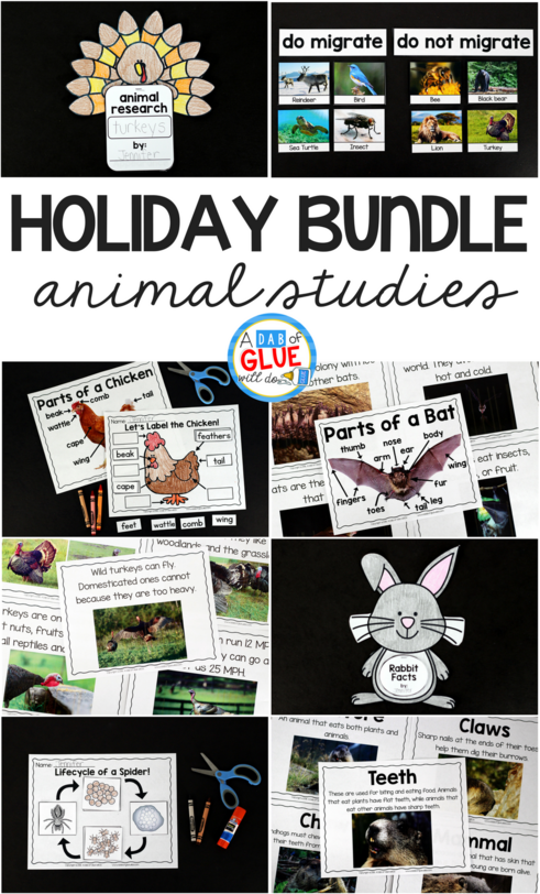 Animal Studies Holiday Bundle