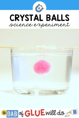 A pink pom pom in a bowl of water showing one step of this crystal ball science experiment