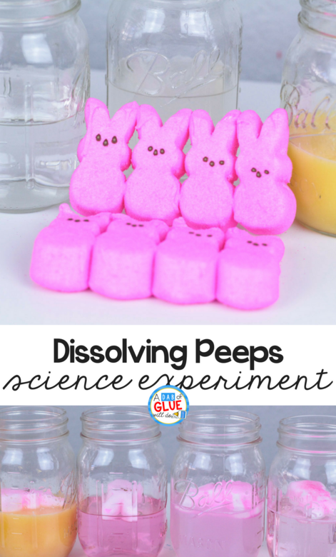 This fun, hands-on science experiment, uses an Easter treat. Try this dissolving Peeps science experiment with your early learns today.