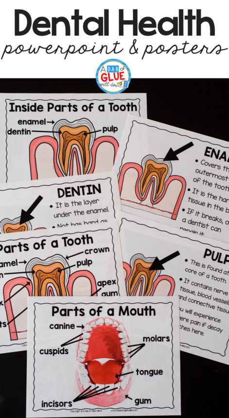 Engage your class in an exciting hands-on experience learning all about teeth! This dental health science unit is perfect for science in Preschool, Pre-K, Kindergarten, First Grade, and Second Grade classrooms and packed full of inviting science activities.