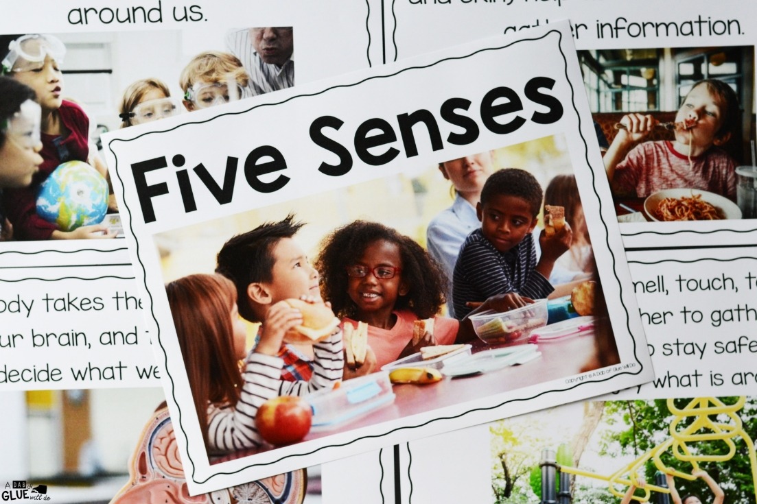 Engage your class in an exciting hands-on experience learning the five senses! Perfect for science activities for Kindergarten, First Grade, and Second Grade classrooms and packed full of inviting science activities. Students will learn five senses science lessons through poems, hands-on senses lessons, and inviting senses printables. This pack is great for homeschoolers, unit studies, and includes science lesson plans!