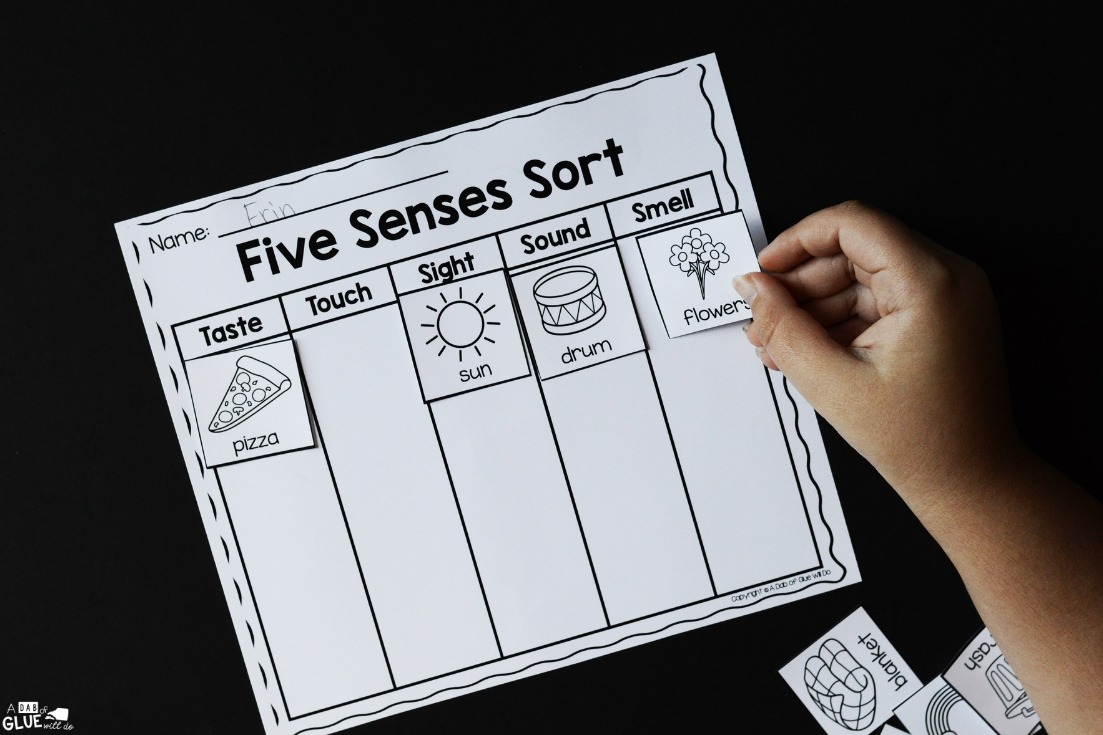 Five Senses Sort Worksheet