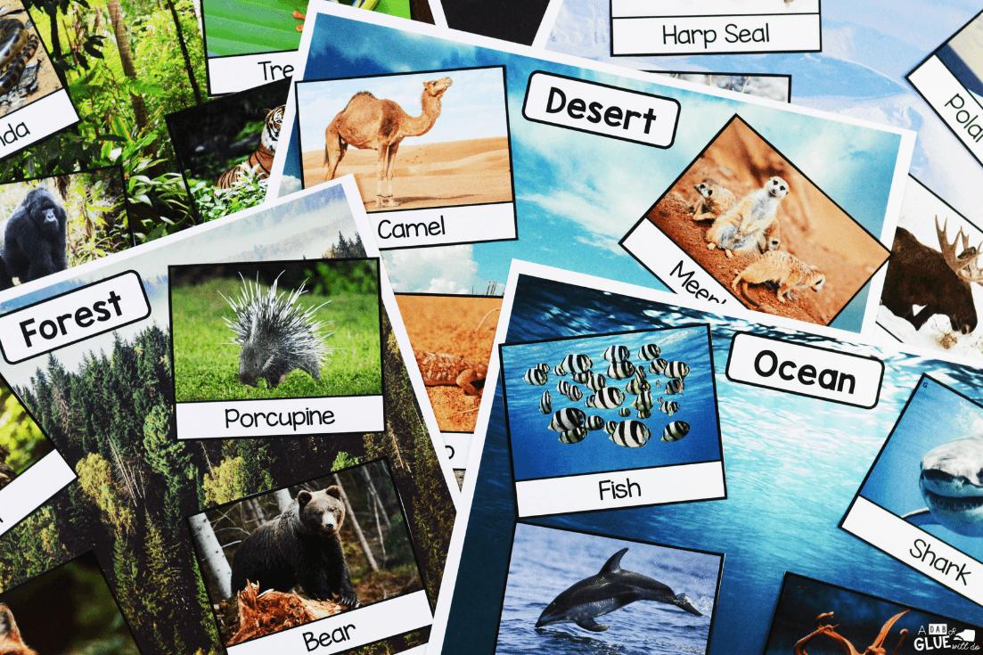 I've created this Animal Habitats Science Unit so our students can learn and research about 7 different animal habitats in a hands-on way.