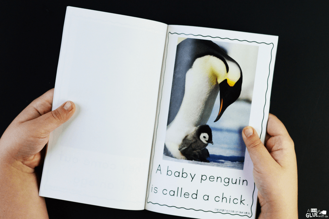 This Penguin Emergent Reader will help your students to build their print and phonological awareness in an enjoyable way.