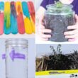 Hands-on April Science Experiments connecting spring with science