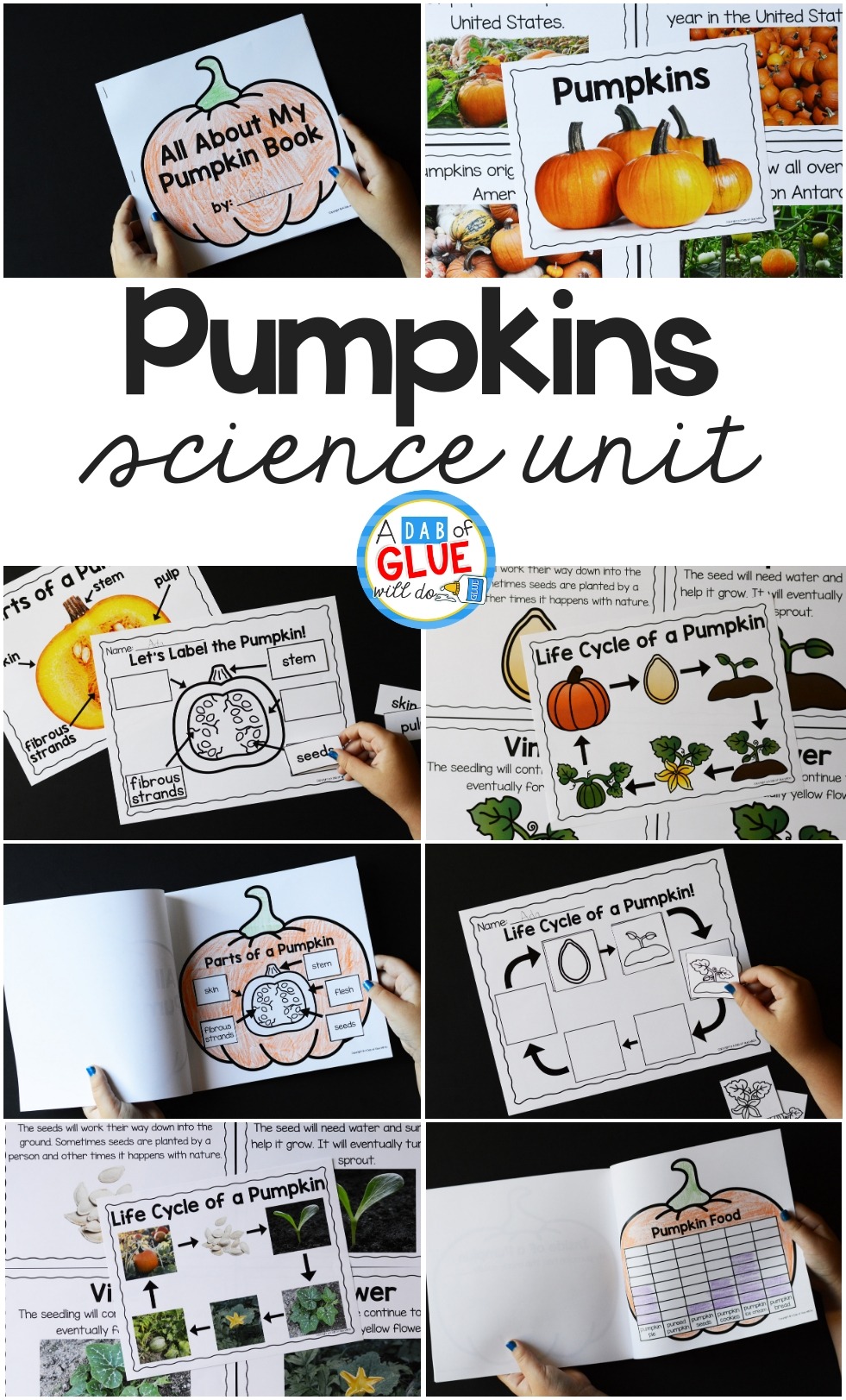 to bring our fascination with pumpkins and science together, I've created this Pumpkins Science Unit. It's an excellent hands-on science unit.
