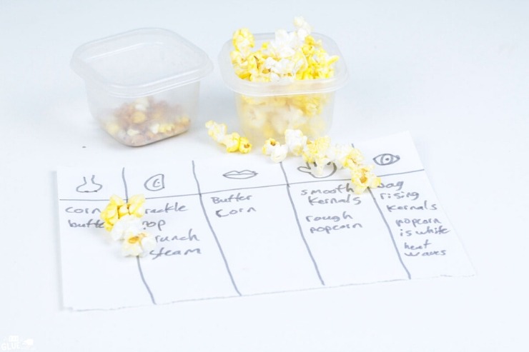 Five Senses Popcorn science experiment for kids.