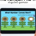 numbers 7, 8, 9 on flowers what comes next digital game